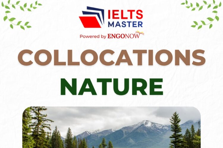 Collocations Nature